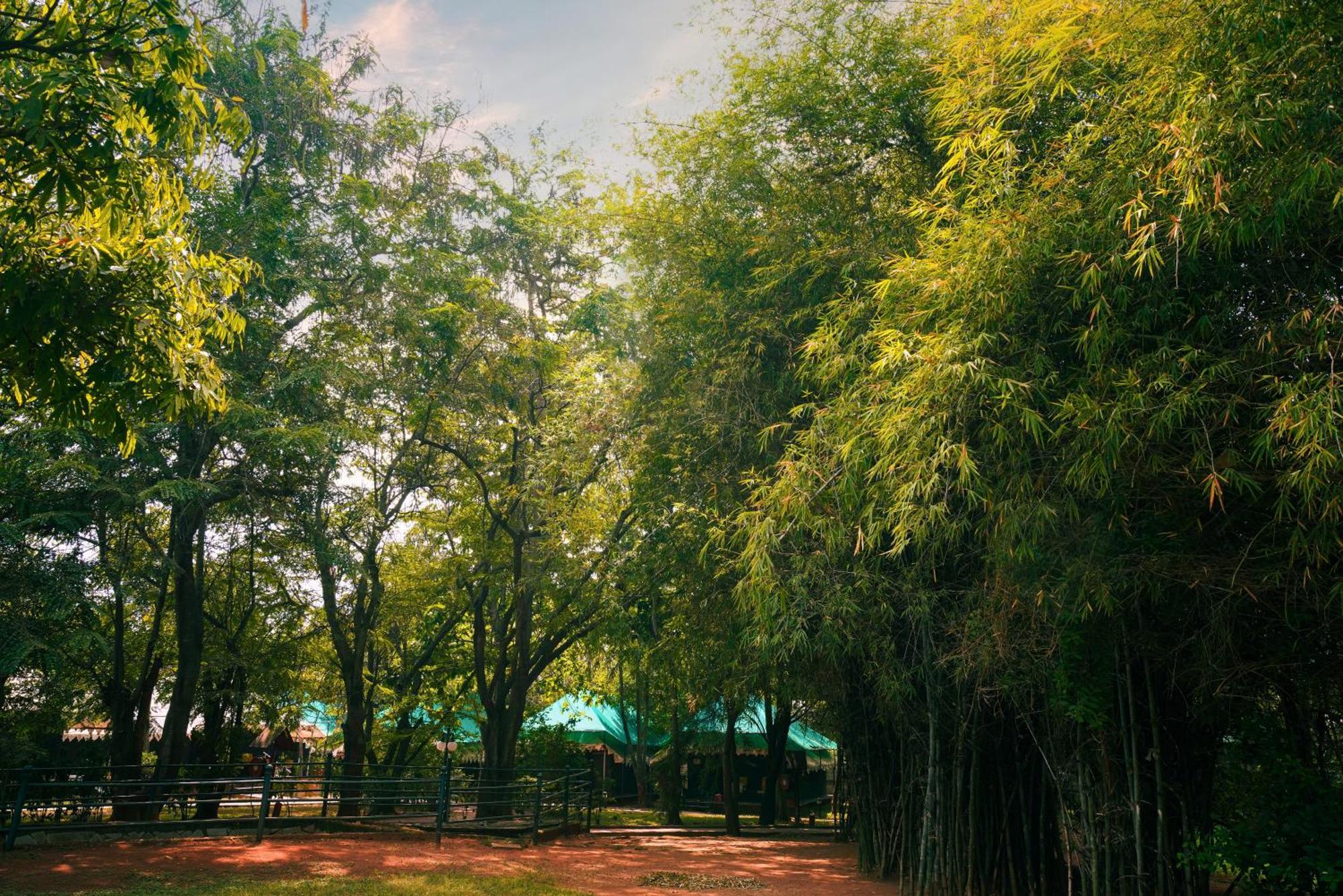 Olde Bangalore Resort And Wellness Center Devanahalli Exterior foto